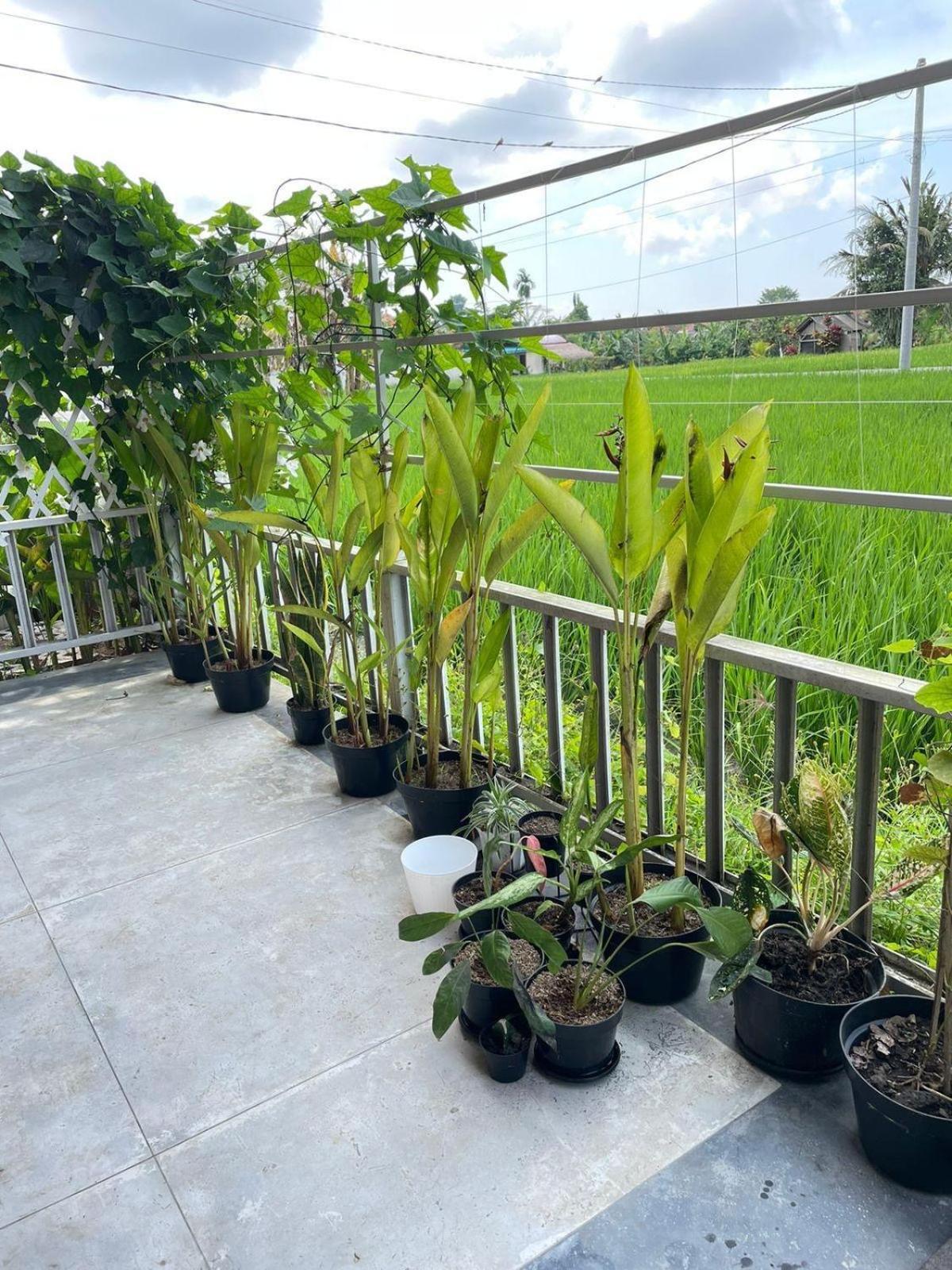 Mandala Rengganis Ubud View Private Villa By Eps מראה חיצוני תמונה