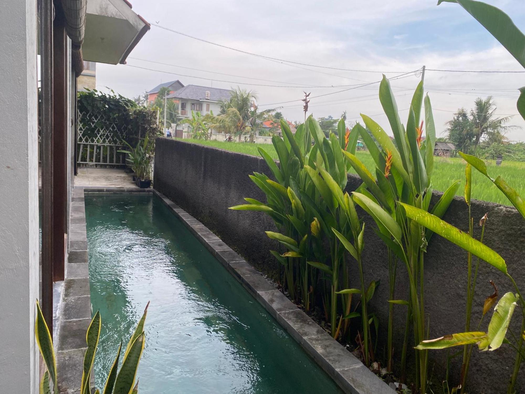 Mandala Rengganis Ubud View Private Villa By Eps מראה חיצוני תמונה