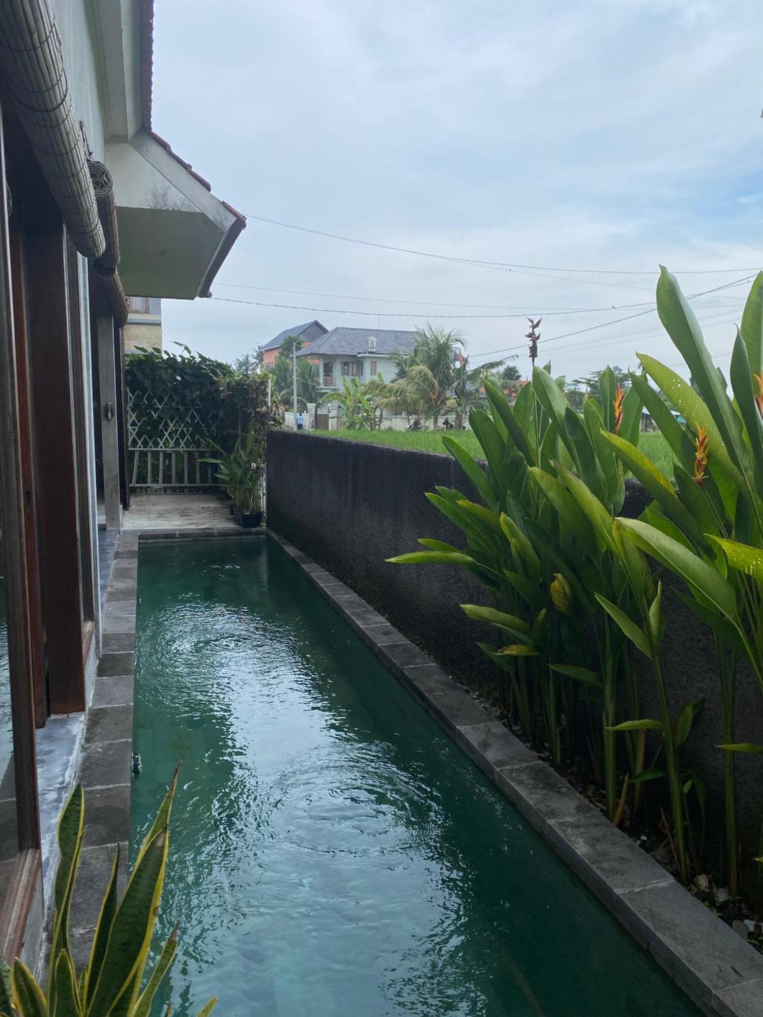 Mandala Rengganis Ubud View Private Villa By Eps מראה חיצוני תמונה
